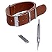 Brown 20mm Synthetic Leather Strap with Spring bar Tool and 4 Spring Bars - Barron Watch Company [BWC]