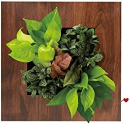 Impressionism Floral Flower Frame Vase Interior Design Desktop Wall Home Decor w/ 5 Plant Pots Xmas Gift (Dark Wood Grain)