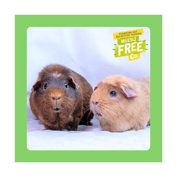 Burgess-Excel-Guinea-Pig-Nuggets-with-Mint-10kg Burgess Excel Guinea Pig Nuggets with Mint, 10kg