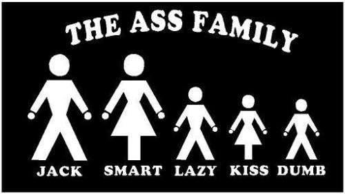 WHITE - 6.5 x 3.5" The A Family dumb smart lady Vinyl Die Cut Decal bumper sticker, windows, cars, trucks, laptops, etc