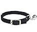 BINGPET Diamond Cat Collar, Adjustable Soft Velvet Leather Safe Kitten Collar with Shiny Rhinestones and Bells, Girl Boy Bling Stylish Cat Collars with Safety Elastic for Small Medium Cats,Black