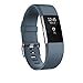 POY Replacement Bands Compatible for Fitbit Charge 2, Classic Edition Adjustable Sport Wristbands, Small Blue-Gray
