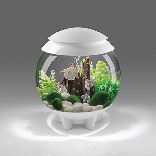BiOrb 30L Halo Aquarium with Multi-Color Remote - White