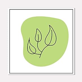 Framed for Living Room Bedroom Beautiful Watercolor Birds for