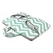 HESTECH 11.6-12.3 Chromebook Case with Handle, Canvas Laptop Sleeve Compatible for Acer Chromebook r11/HP Stream/Samsung Chromebook/Macbook air 11/, Mint Green Chevron