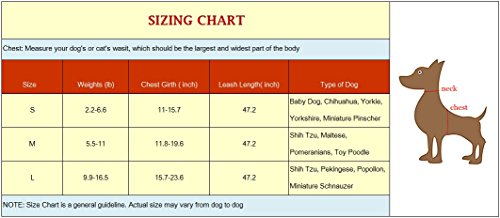 M2cbridge Small Dog Harness Leash Leads Set Step-in Soft Mesh Vest Cat Collar (M, Gray)