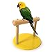 Tutuba Bird Training Stand, Portable WoodTabletop Bird Perch Stand for Parrots, Parakeets, Cockatiels, Lovebirds, Sun Conures, Caiquethumb 4