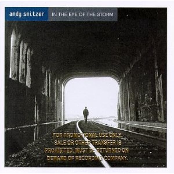 Snitzer Andy In The Eye Of The Storm Amazon Com Music