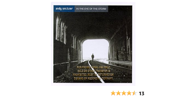 Snitzer Andy In The Eye Of The Storm Amazon Com Music