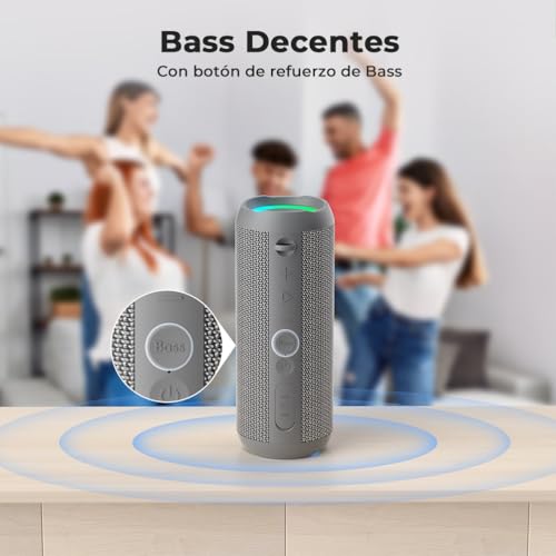 RIENOK Bluetooth Speaker 5.3 Portable Wireless Speaker IPX7 Waterproof Computer Speakers, Bass, Stereo Sound, Supports Micro SD AUX, Grey