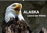 Alaska - Lockruf der Wildnis (Wandkalender 2020 DIN A2 quer): Wunderschöne, spektakuläre und emotionale Landschafts- und Tieraufnahmen zeigen die ... Wildnis Alaskas. (Monatskalender, 14 Seiten ) by