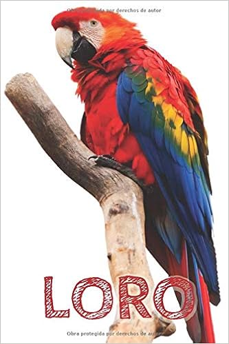 Cuaderno De Dibujo Loro 150 Paginas 6x9 Un Cuaderno Simple Para Ninos Amazon Es Press Gw Libros