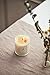 Le Conte Scented Candles - Monoi Vanilla Taha'a - The World’s First Visual Candle - Soy Wax 8oz. 50+ Burn time