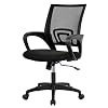 BestOffice Ergonomic Desk Mid-Back Mesh Computer Lumbar Support Comfortable Executive Adjustable Rolling Swivel Task…