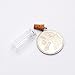 Dowonsol 20 1-Inch Small Glass Bottles Message Treasure Charm Pendant DIY Kit for Necklace Weddings Wish Jewelry Mini Glass Bottles with Corks