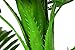Artificial Palm Tree Decor for House and Office Realistic Faux Plant with Large Silk Leaves Stay Upright Without Pot,4.65 Feet,Green
