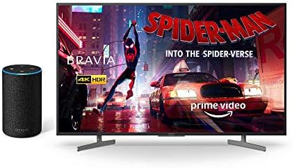 sony smart voice speaker