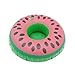 Cazul Goods Inflatable Pool Drink Holder Floats - 3 pieces Watermelon and 3 pieces Pineapple Design (Set of 6)