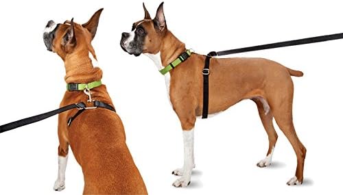 thunder leash retractable