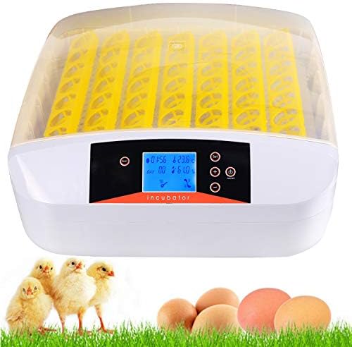 Kemanner Automatic 56 Digital Clear Egg Incubator Hatcher Egg Turning Temperature Control 90W US Plug (56eggs)