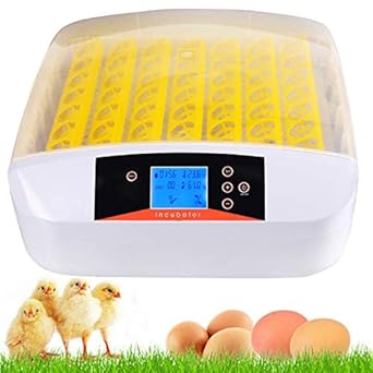 Amazon Com Currens 56 Egg Incubator With Eggs Turner Digital Automatic Incubators For Hatching Chicken Duck Quail Birds Eggs Poultry Hatcher Encubadora De Huevos Industrial Scientific