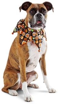 Amazon Com Wag A Tude Petco Halloween Glitter Pumpkin Scrunchy