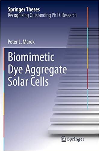 Biomimetic Dye Aggregate Solar Cells (Springer Theses)