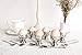 Stainless Steel Egg Cups Set for Hard Soft Boiled Eggs with 6 Egg Cup Holders 6 Egg Spoons