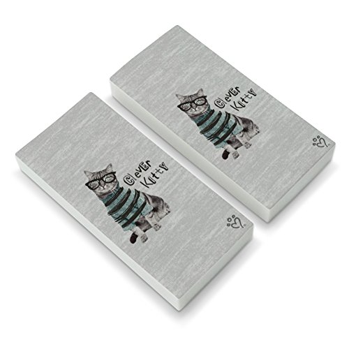 Clever Smart Kitty Cat Kitten Glasses Sweater Eraser Set of 2