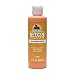 Apple Barrel Gloss Acrylic Paint in Assorted Colors (8 oz), 20748 Gloss Pumpkin Orange