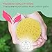 Facial Sponges (50-Count) JJBATHCO | Made in USA | Natural Facial Makeup Remover, Pore Exfoliator | Spa, Professional, Reusable, Biodegradable | Compressed Cellulose Sponges | Free E Book Included