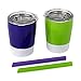 Housavvy 2 Pack 8 OZ Insulated Stainless Steel Kids Cups with Lids and Silicone Straws BPA Free Toddler Cups for Kids Smoothie Drinking