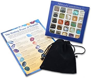 Fossil Gift Shop Gemstone Selection with Pouch & Info Card