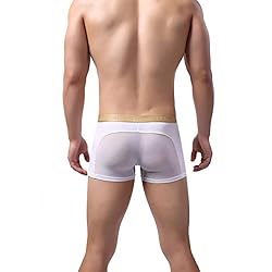 Laxier 2 Pack of Men Boxer Briefs Transparent