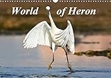 World of Heron 2020: The most common herons from all around the world. (Calvendo Animals) by 