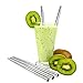 Nicely Neat Stainless Steel Drinking Straw with Cleaning Brush, Set of 4, 8.5 Inches, Straight Shape