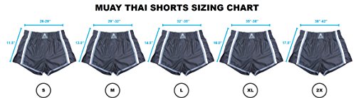 image for NEW! Anthem Athletics RESOLUTE Muay Thai Shorts - Kickboxing, Thai Box
