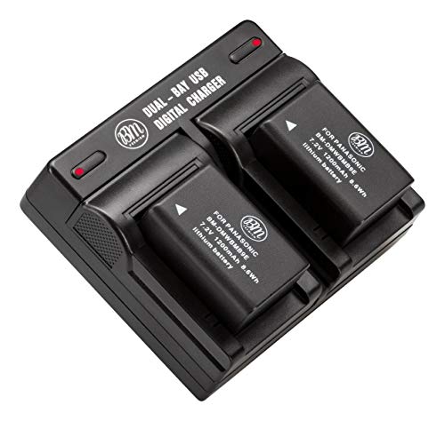 Big Mike's 2 Pack of DMW-BMB9 Batteries and USB Dual Battery Charger for Panasonic Lumix DC-FZ80, DMC-FZ40K, DMC-FZ45K, DMC-FZ47K, DMC-FZ48K, DMC-FZ60, DMC-FZ70, DMC-FZ100, DMC-FZ150 Digital Camera