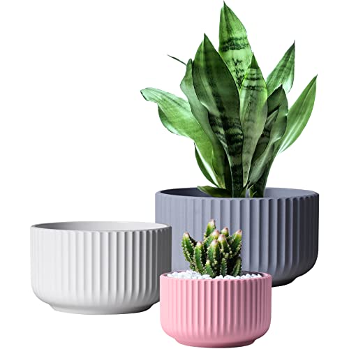 Great pots