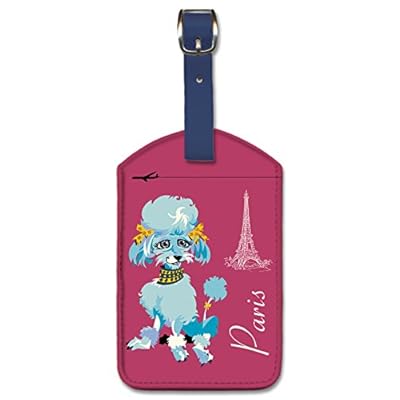 travel bag tags