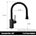 Kitchen Sink Faucet with Magnetic Docking Pull Down Sprayer Matte Black with Deck Plate Wasserrhythm