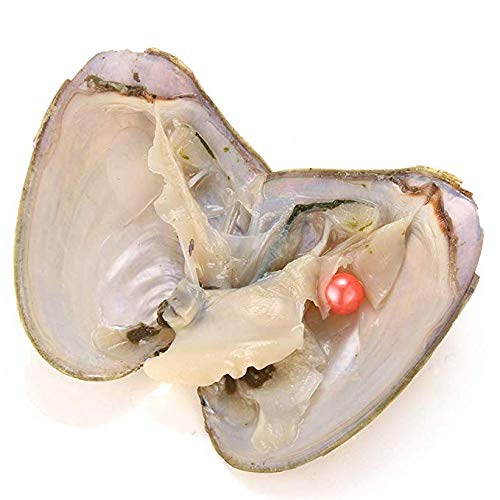 4 Pieces+Freshwater+Cultured+Oysters+Packaging