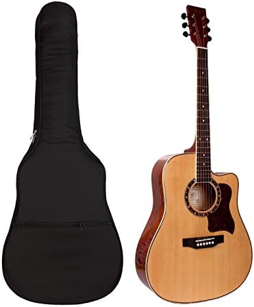 Guitar Bag,41 Inch Acoustic Guitar Gig Bag Soft Case Cover 5mm Interior Sponge Padded Black