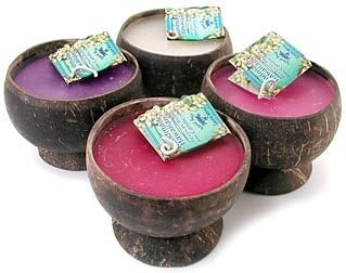 Hawaiian Coconut Shell Candle - Coconut