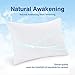 oaskys Shredded Memory Foam Pillow Queen Size Hypoallergenic Removable Washable and Luxury
