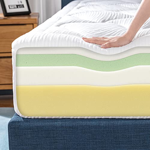 ZINUS 10 Inch Cloud Memory Foam Mattress / Pressure Relieving / Bedin