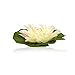 Floating Flowers Set of 6 - White with pink accent 5.5 Inches - These Are the Most Durable Water Lilies Available – Great for Fish Tanks – Weddings – Bird Baths!