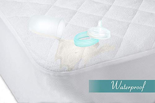 3 Mattress+Protector+Organic+Waterproof+Hypoallergenic