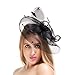 Valdler Halloween Black Costume Feather Net and Veil Fascinator Hair Clip Hat Hair Accessories Clip for Festival Party
