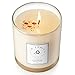 Le Conte Scented Candles - Monoi Vanilla Taha'a - The World’s First Visual Candle - Soy Wax 8oz. 50+ Burn time